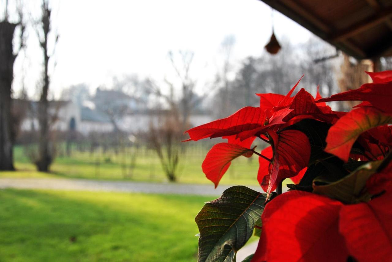 Villa Stefania Noventa Padovana Eksteriør bilde